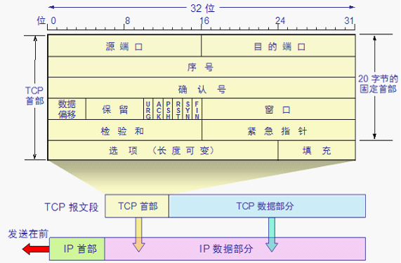 TCP报文格式